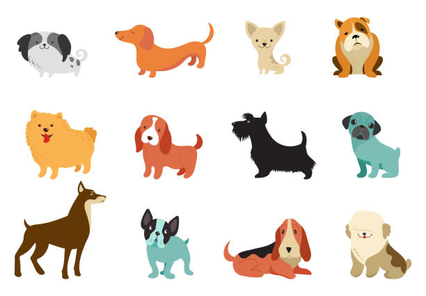 illustrations, cliparts, dessins animés et icônes de chiens-collection d’illustrations vectorielles. dessins animés drôles, races de chien différentes, style plat - terrier dog puppy animal