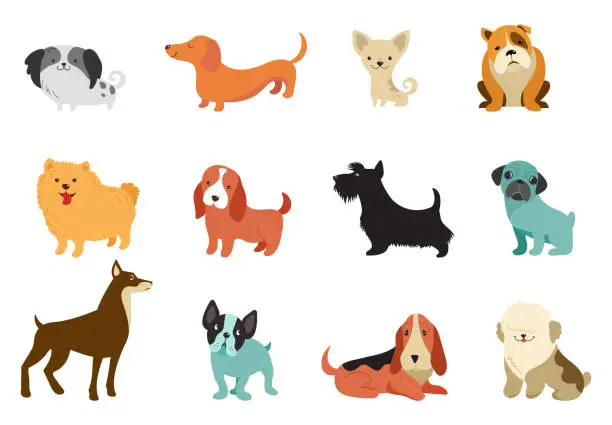 Vector illustration of Dogs - collection of vector illustrations. Funny cartoons, different dog breeds, flat style