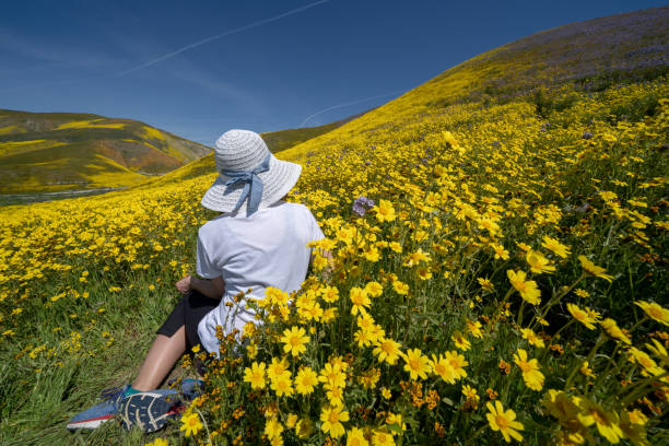 Beautiful woman with back facing camera, sitting in a field of yellow wildflowers. Concept for spring allergy season Beautiful woman with back facing camera, sitting in a field of yellow wildflowers. Concept for spring allergy season carrizo plain stock pictures, royalty-free photos & images