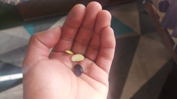 istock April 20, 2019- Nepal:Cereal or Bean in close shot with hand gestures 1144178174