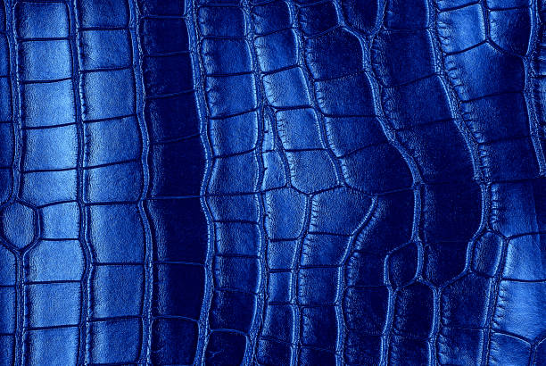 istock Crocodile skin blue color leather texture background 1144180709
