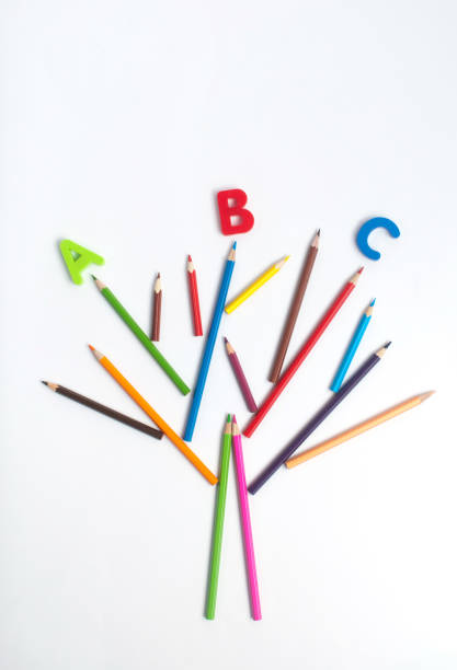 Kids art education concept. Tree made from color pencils with ABC letters on white background with blank space for text. Top view, flat lay.