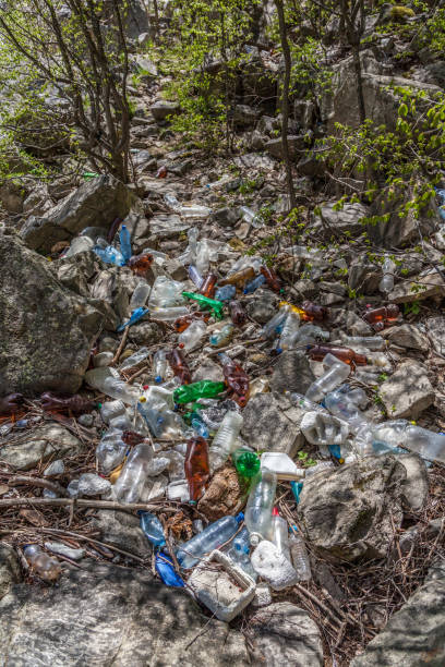 istock Plastic Bottle in environment. Look What We Have Done? 1144187933