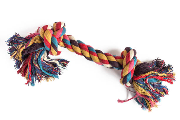 istock Colorful rope for dog teeth isolated on white background. 1144189427