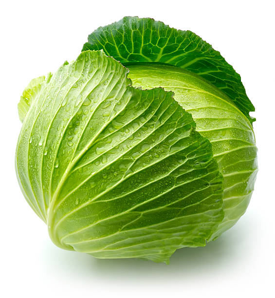 cabbage
