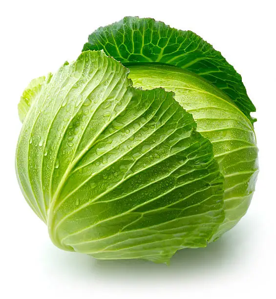 Photo of cabbage