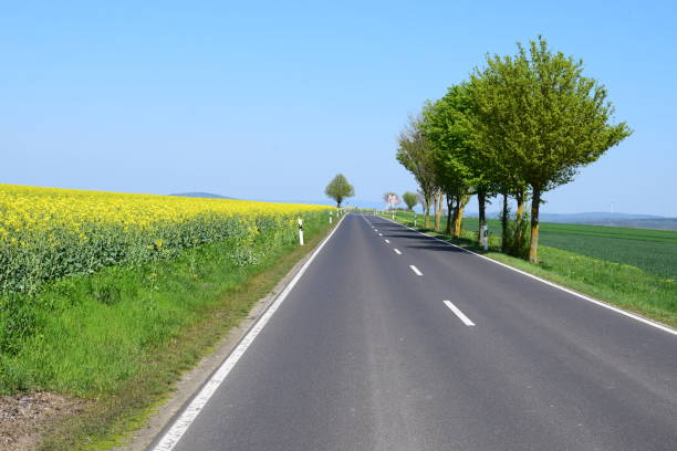 istock sunny country road 1144194173