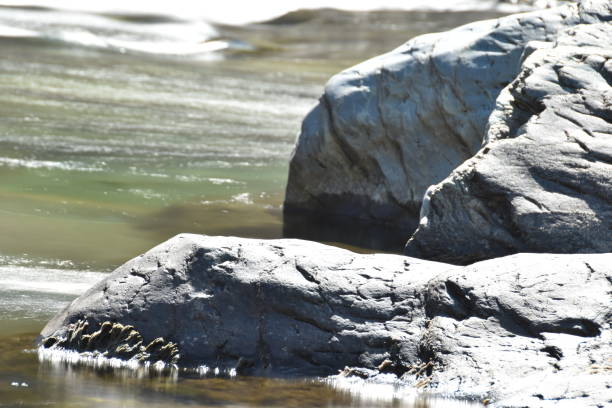 Rock and river in Corsican Islande