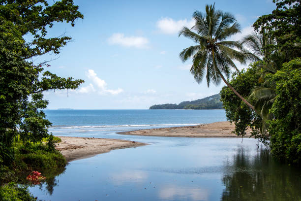 spokojna laguna w papui-nowej gwinei - papua new guinea zdjęcia i obrazy z banku zdjęć