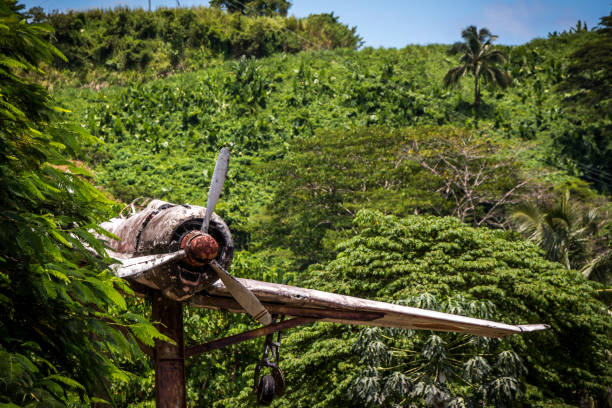 самолет второй мировой войны в папуа-новой гвинее - papua new guinea стоковые фото и изображения