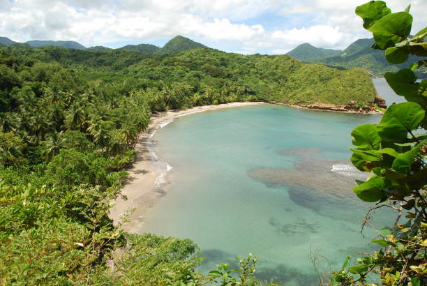 istock Batibou Beach in Dominica (Island Country in the Caribbean) 1144196895