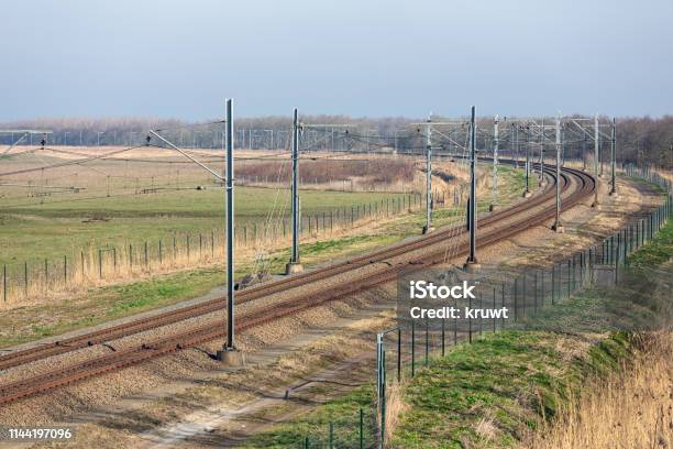 Dutch Railway Through National Park Oostvaardersplassen Near Almere And Lelystad Stock Photo - Download Image Now