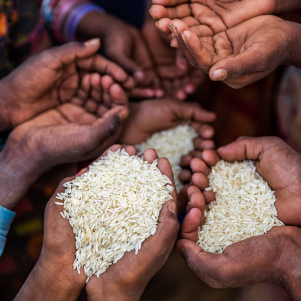 istock Hunger in Africa - hands asking for food 1144199859
