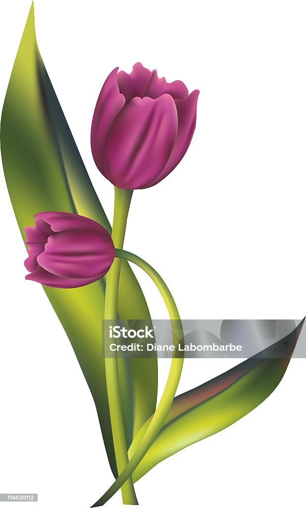 Flor de Primavera roxo Túlipas clipart vector ilustração malha de gradiente - Royalty-free Clip Art arte vetorial