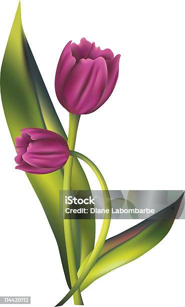 Flor De Primavera Roxo Túlipas Clipart Vector Ilustração Malha De Gradiente - Arte vetorial de stock e mais imagens de Clip Art