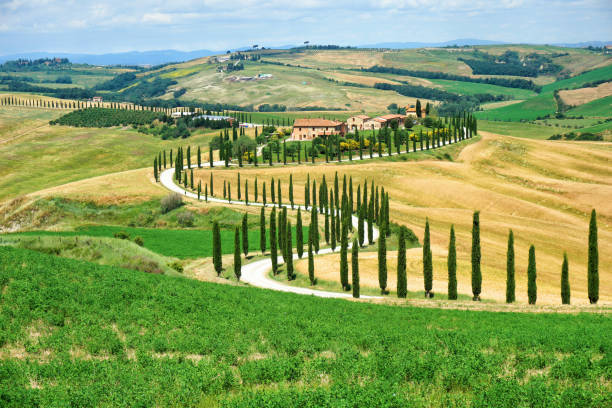 istock Rural landscape in Tuscany 1144202110