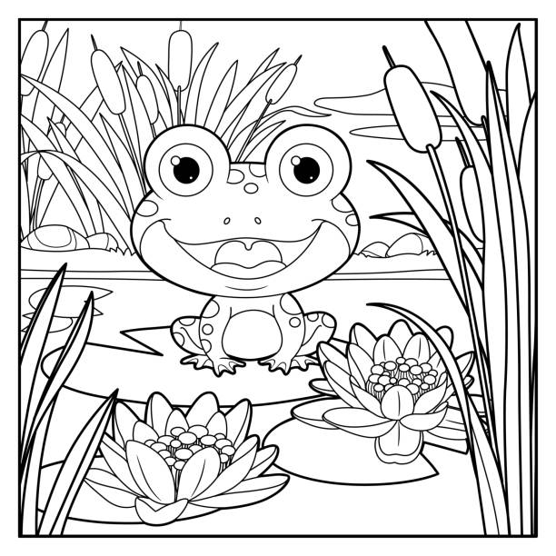 niedlicher frosch sitzt auf blatt der lilienfarbe lineare zeichnung auf einem weißen hintergrund - bullfrog frog amphibian wildlife stock-grafiken, -clipart, -cartoons und -symbole