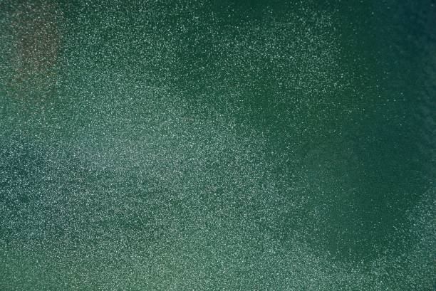 istock gray green paint background on old foundation wall 1144202333