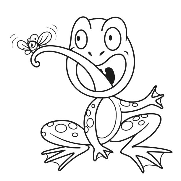 illustrations, cliparts, dessins animés et icônes de grenouille mignonne de dessin animé mange la mouche décrite sur un fond blanc - frog animal tongue animal eating