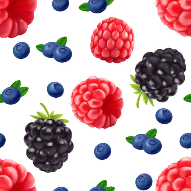 ilustraciones, imágenes clip art, dibujos animados e iconos de stock de blackberry blueberry y frambuesa patrón sin costuras - blackberry blueberry raspberry fruit