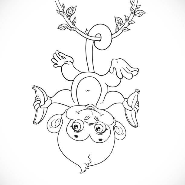 귀여운 아기 원숭�이 바나나에 매달려 있는 리아 나는이 솔 라 설명 - monkey sketch drawing showing stock illustrations