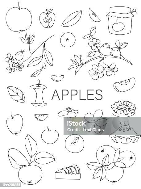 Apple Set Stock Illustration - Download Image Now - Line Art, Sweet Pie, Apple Blossom