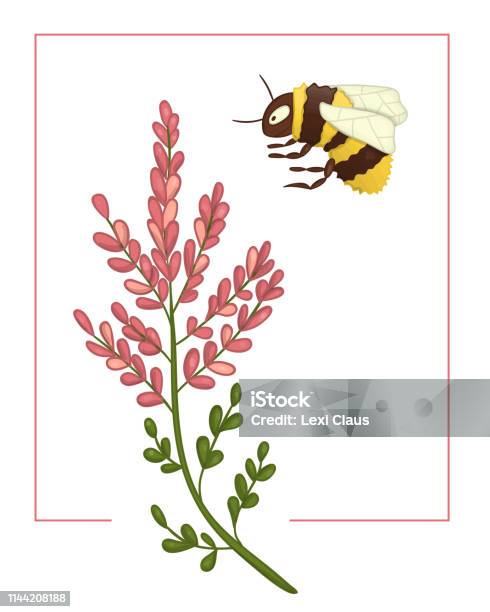 Vector Illustration Of Colored Heather With Bumblebee Stock Illustration - Download Image Now