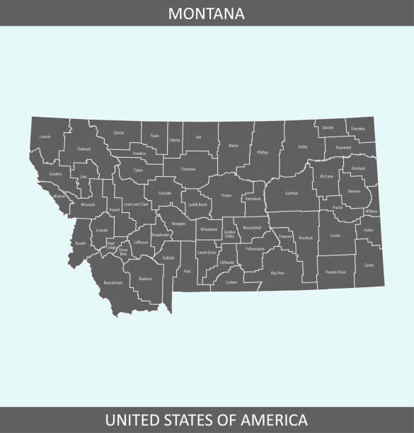 Montana map with counties The map is accurately prepared by a map expert. maltese silhouette stock illustrations
