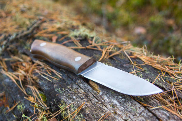 istock hunting and bushkraft knife 1144209263