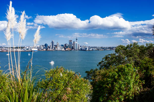 istock Auckland City Landscape 1144211027