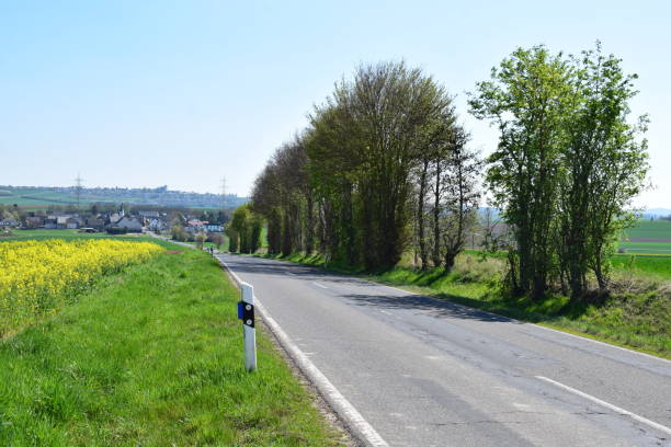 istock green avenue and yellow fields in spring 1144211144