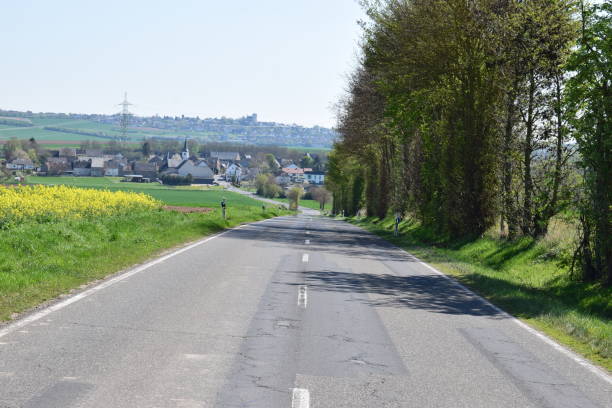 istock green avenue and yellow fields in spring 1144211774