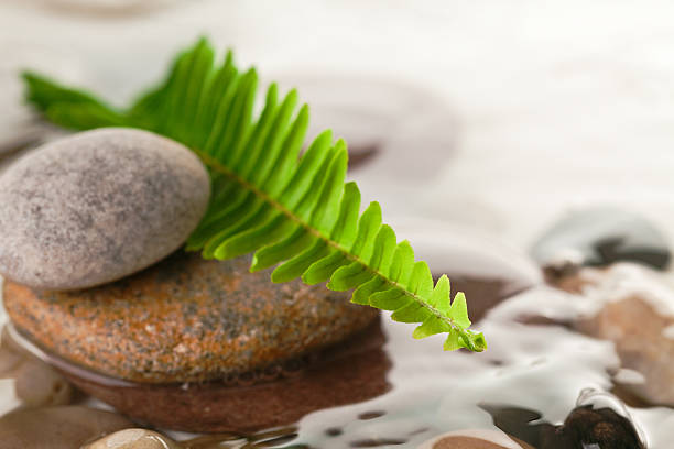 peace and tranquility, pebbles and flora reflected on black surface