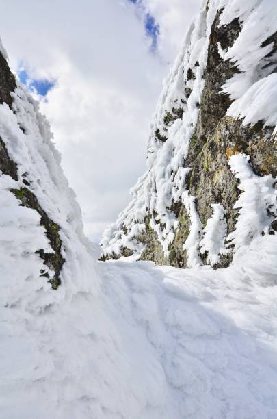 istock cold winter Snow White landscape mountain carpathian 1144215783