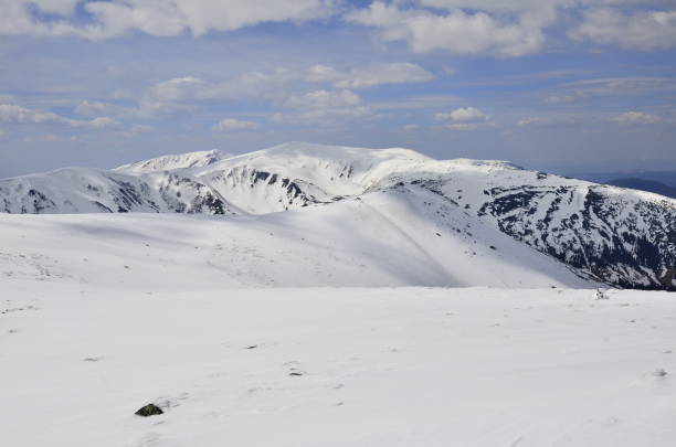 cold winter Snow White landscape mountain carpathian