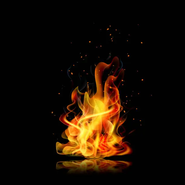 Vector illustration of Fire flame. Black background. Realistic fire. Vector