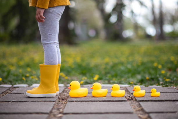 Come this way with me! Girl standing in her yellow boots near a family of yellow toy ducks duck family stock pictures, royalty-free photos & images