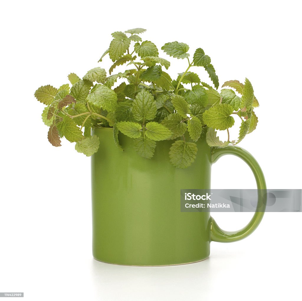 Травяной настой чашка - Стоковые фото Альтернативная медицина роялти-фри