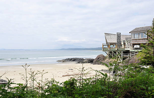 istock Wickaninnish Beach and Center 114423233