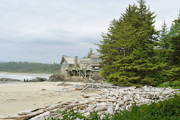 istock Wickaninnish Beach,Vancouver Island,Canada 114423283