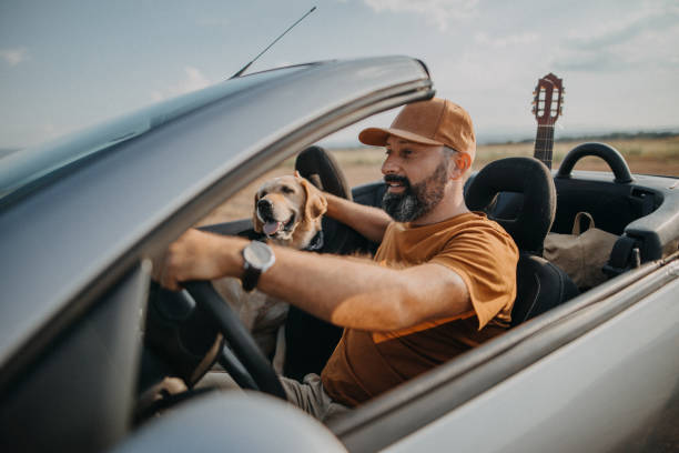 We are following your instinct Senior man having good time with his dog in convertible car convertible stock pictures, royalty-free photos & images