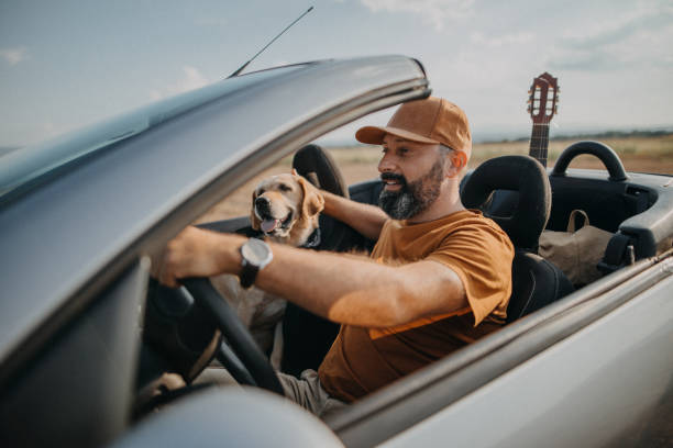 We are following your instinct Senior man having good time with his dog in convertible car hipster car stock pictures, royalty-free photos & images