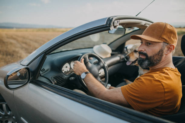 istock We are following your instinct 1144233454