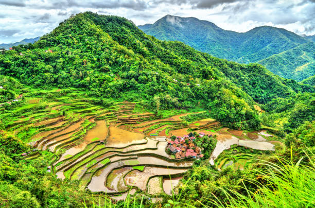 istock Bangaan Rice Terraces - Luzon, Philippines 1144233525