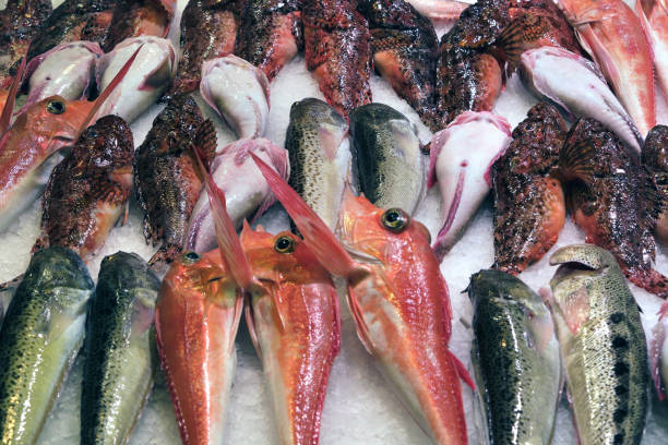 istock Fresh fish market stall display Palma Mallorca Spain 1144234325
