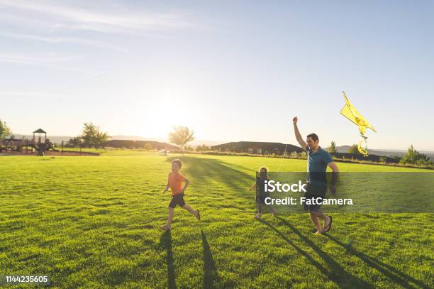 Dad Flying Kites With His Kids At The Park Stock Photo - Download Image Now - Public Park, Family, Community