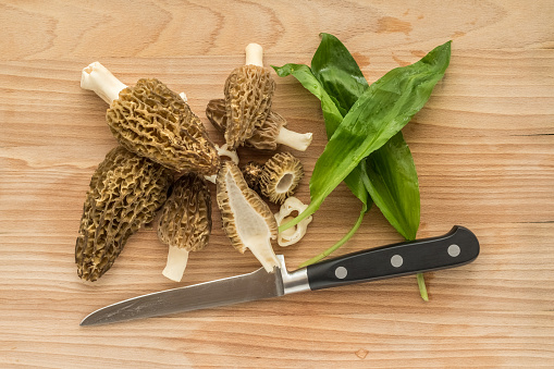 Detail from kitchen - wooden cutting board with morel mushrooms, knife and wild garlic
