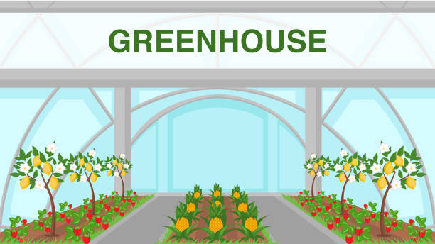 tropical fruits greenhouse web banner vorlage - pineapple plantation stock-grafiken, -clipart, -cartoons und -symbole