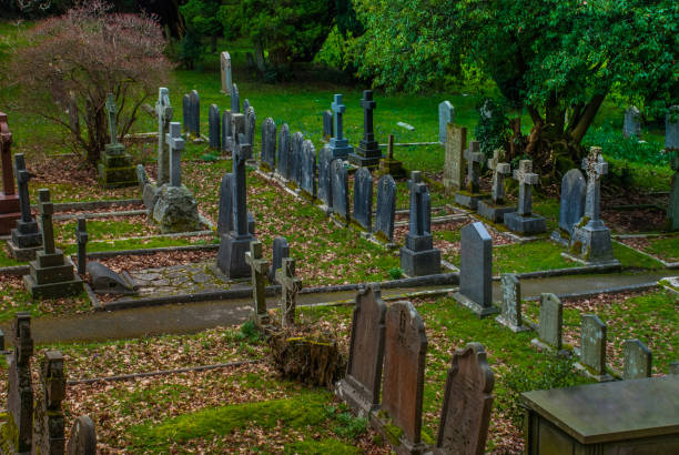 istock tombstones at the Old Cemetery. 1144236932