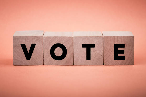 istock Vote Concept Wooden Blocks 1144238594